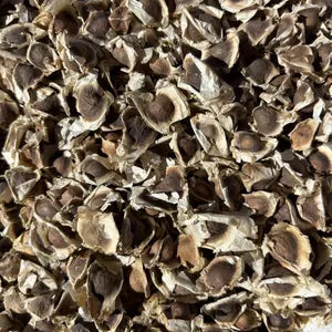 Graines de Moringa Bio à Consommer – Superaliment Santé, Énergie et Vitalité, Riches en Vitamines et Antioxydants